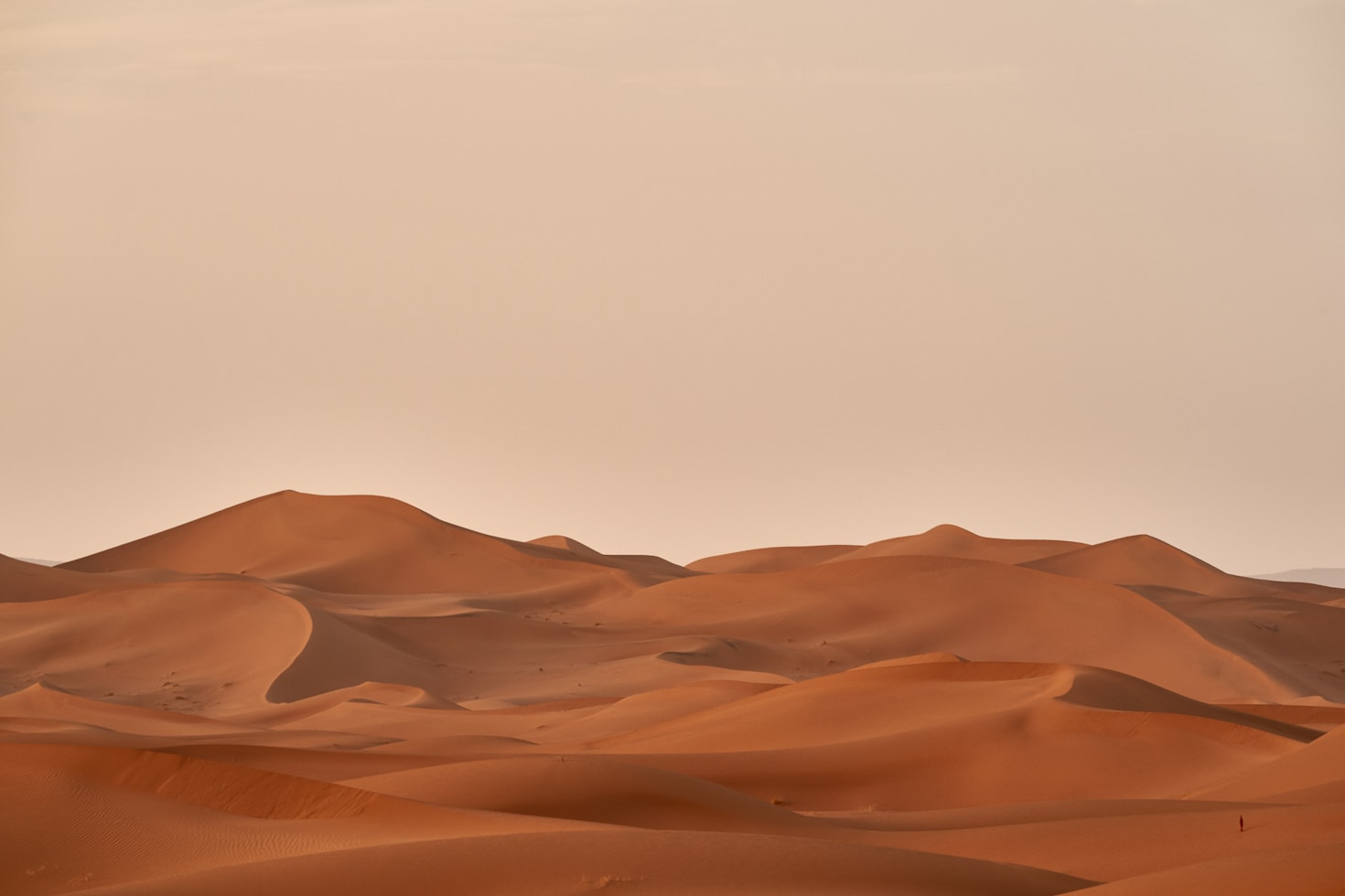 Creating a Sustainable Oasis in the Desert